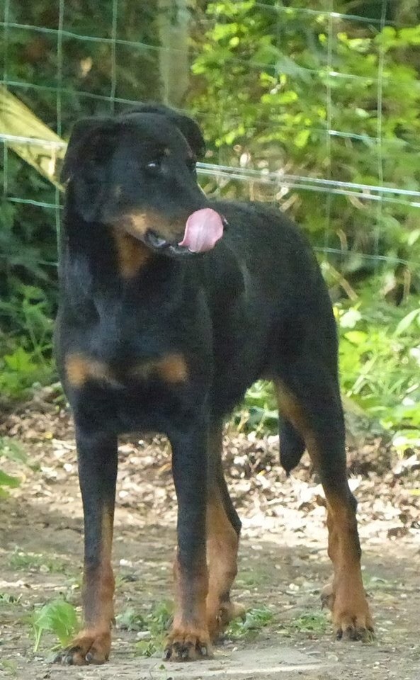 Niña De La Légende De Luna